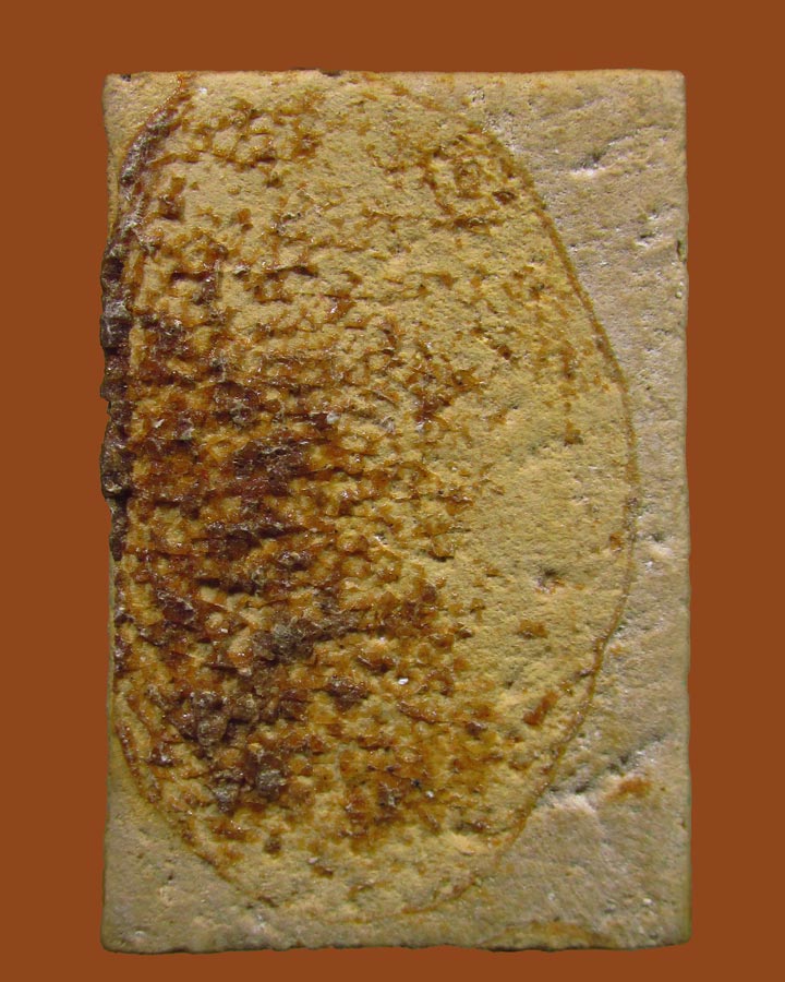 **เคาะแรก**พระสมเด็จพิมพ์วัดเกศไชโย วัดเกาะกลอย ปี14 จ.ระยอง หลวงปู่ทิม,และเกจิสายระยอง ร่วมปลุกเสก 