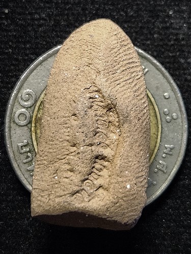 วัดบ้านเด่น  เชี่ยงใหม่ พระรอด ครูบาเทือง หลังปั้มหนังสือ 