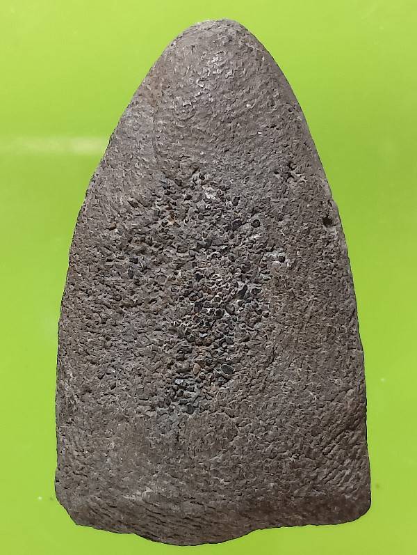 หลวงปู่ทวดเนื้อว่าน ไม่ทราบวัดที่สร้าง 