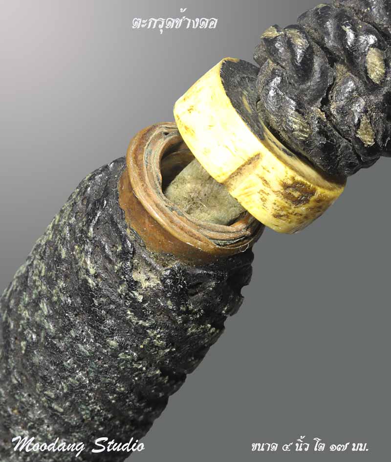 ตะกรุดลูกงาขั้น 