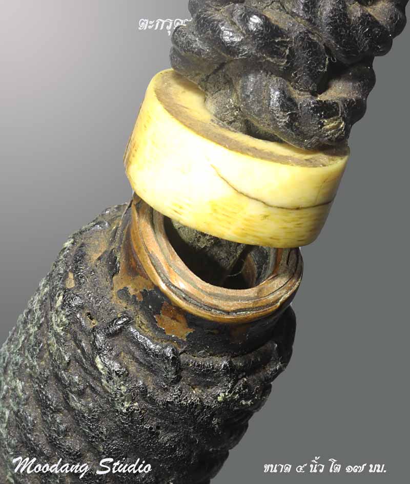 ตะกรุดลูกงาขั้น 