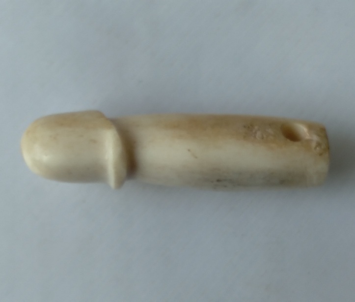 ปลัดขิกกระดูกแกะไม่ทราบที่