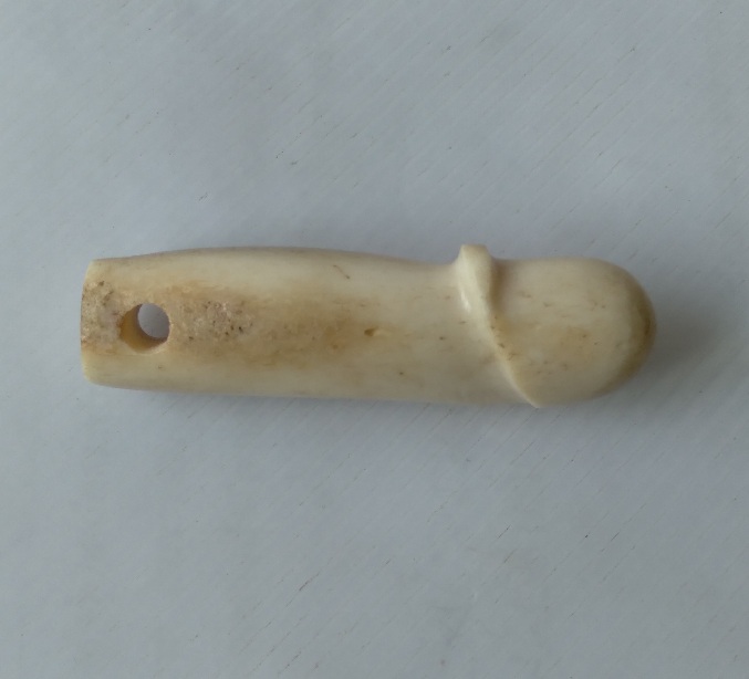 ปลัดขิกกระดูกแกะไม่ทราบที่