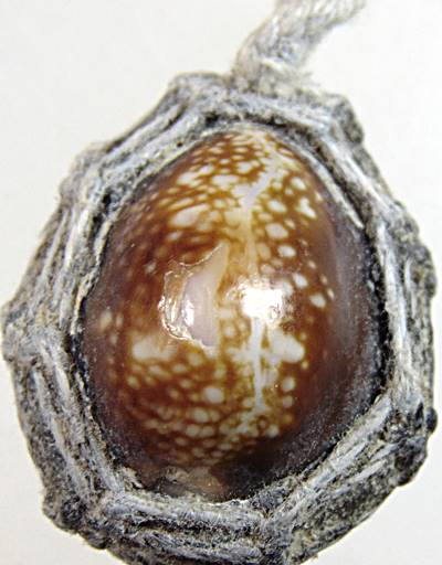 เบี้ยแก้ เก่า เขย่าดังเหมือนทราย