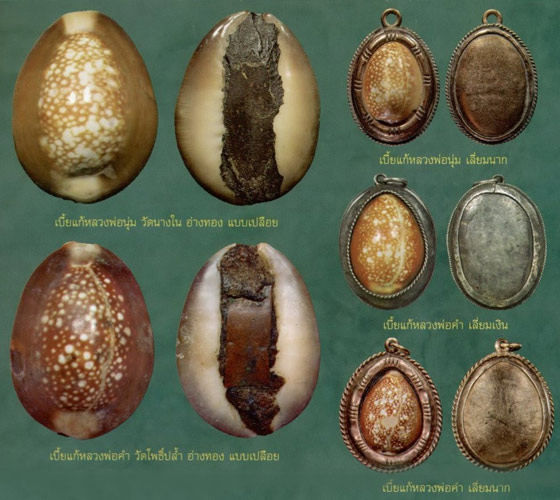เบี้ยแก้หลวงพ่อคำ ปัญญาสาโร วัดโพธิ์ปล้ำ อ.วิเศษชัยชาญ จ.อ่างทอง