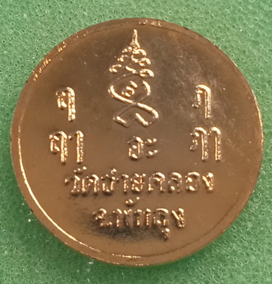 เหรียญหลวงพ่อพลับ วัดชายคลอง พัทลุง ปี2537 มีจาร