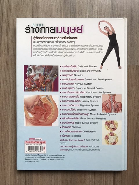 หนังสือ ภายในร่างกายมนุษย์ เล่มใหญ่มีประโยชน์ กระดาษมัน สีสด อ่านเข้าใจง่ายเหมาะกับเด็ก
