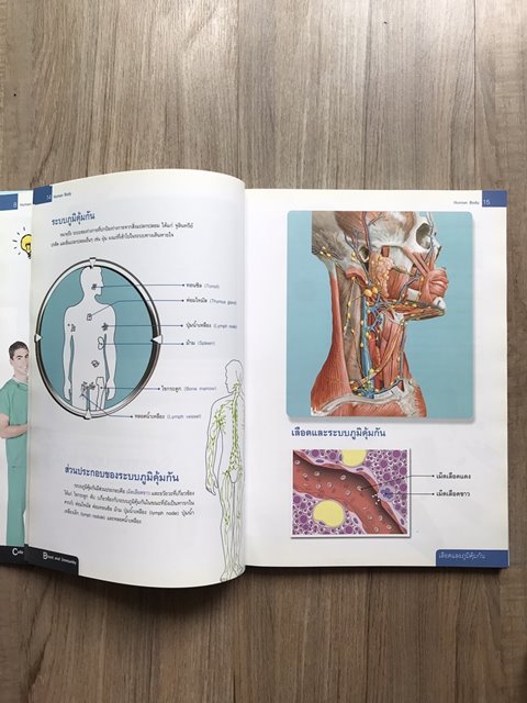 หนังสือ ภายในร่างกายมนุษย์ เล่มใหญ่มีประโยชน์ กระดาษมัน สีสด อ่านเข้าใจง่ายเหมาะกับเด็ก