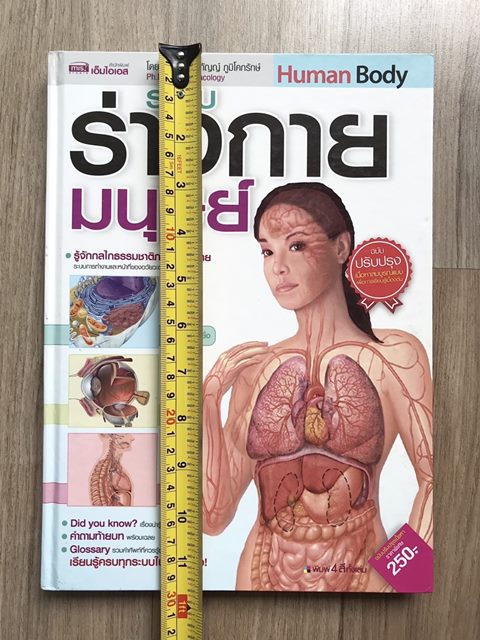 หนังสือ ภายในร่างกายมนุษย์ เล่มใหญ่มีประโยชน์ กระดาษมัน สีสด อ่านเข้าใจง่ายเหมาะกับเด็ก