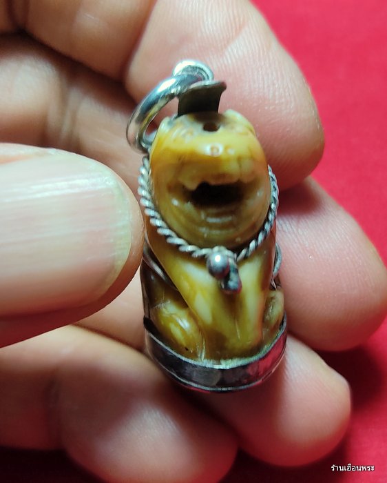 เขี้ยวเสือแกะศิลป์หลวงพ่อปาน วัดคลองด่าน พิมพ์อ้าปาก จ.สมุทรปราการ