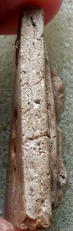 *นางพญา หลังอุ เนื้อผง วัดบ่อวิน ชลบุรี หลวงปู่ทิม อิสริโก ปลุกเสก*