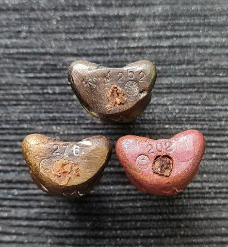 เคาะแรกแดง..พระปิดตาสิริคุตโต ๖๖..รวม ๓ องค์ กล่องเดิม..ลป.อุดมทรัพย์ วัดเวฬุวันฯ ศรีสะเกษ / ส่ง ems