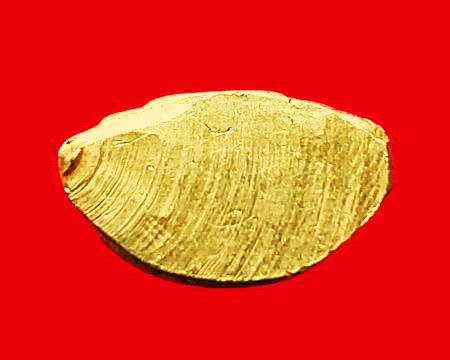 พระกริ่งพระพุทธสถาพรมงคล (หลวงพ่อโต) วัดถาวรวราราม(วัดญวน) จ.กาญจนบุรี สวยมากค่ะ