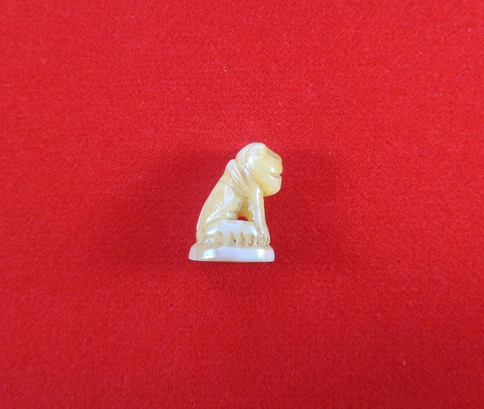 เขี้ยวเสือโปร่งฟ้าหลวงพ่อสาย วัดบางเหี้ยคลองด่าน (วัดสว่างอารมณ์) ปากคลองบางเหี้ย สวยครับ