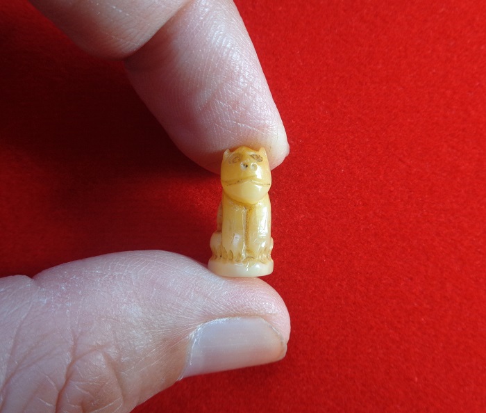 เขี้ยวเสือโปร่งฟ้าหลวงพ่อสาย วัดบางเหี้ยคลองด่าน (วัดสว่างอารมณ์) ปากคลองบางเหี้ย สวยครับ