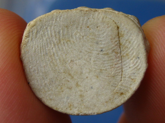 พระกริ่ง ผง