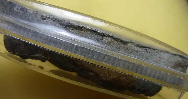 หลวงปู่ทวด ไซด์จัมโบ้ (7cm.) ในเลี่ยมพลาสติก