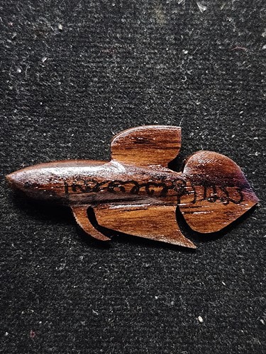 วัดโพธิ์ศรีเจริญ จ.สุพรรณบุรี ปลากัด หลวงพ่อน่วม นื้อไม้พยุง