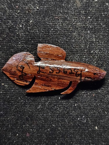 วัดโพธิ์ศรีเจริญ จ.สุพรรณบุรี ปลากัด หลวงพ่อน่วม นื้อไม้พยุง