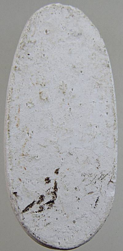 ๒๐ พระผงมหาจักรพรรดิหลวงตาม้า วัดถ้ำเมืองนะ จ เชียงใหม่