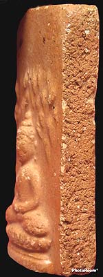 *ปรกโพธิ์ใหญ่ ผงพรายสมุทร พ่อท่านเจิม วัดหอยราก นครศรีธรรมราช ปี๒๔๙๖*