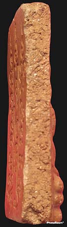 *ปรกโพธิ์ใหญ่ ผงพรายสมุทร พ่อท่านเจิม วัดหอยราก นครศรีธรรมราช ปี๒๔๙๖*