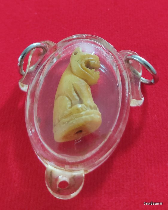 เขี้ยวเสือหลวงพ่อสาย วัดคลองด่าน พิมพ์อ้าปาก จ.สมุทรปราการ