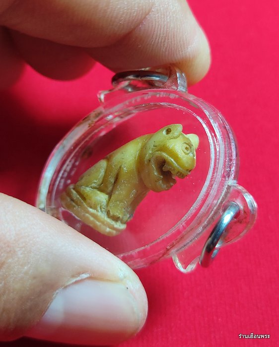 เขี้ยวเสือหลวงพ่อสาย วัดคลองด่าน พิมพ์อ้าปาก จ.สมุทรปราการ