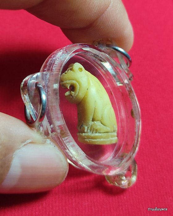 เขี้ยวเสือหลวงพ่อสาย วัดคลองด่าน พิมพ์อ้าปาก จ.สมุทรปราการ