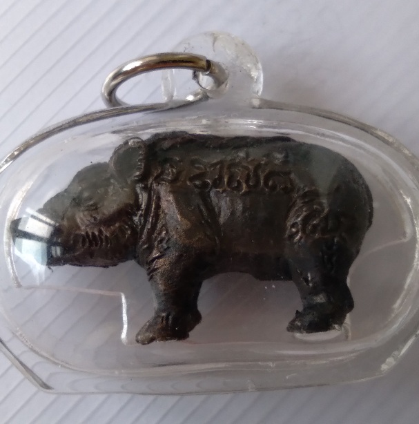 หมูนำโชควัดพะเนียงแตก