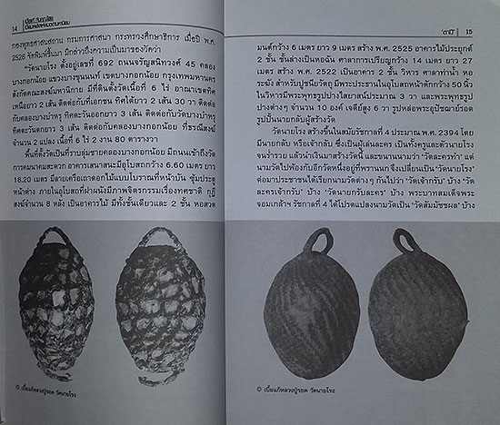 หนังสือ เบี้ยแก้ กันคุณไสยเปี่ยมพลังแห่ง เมตตามหานิยม 