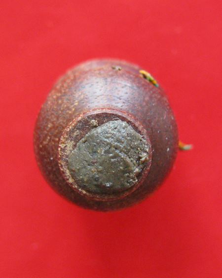 น้ำเต้าเสาร์ ๕ มหาลาภ พระมหาสุรศักดิ์ อติสกโข เนื้อไม้ พร้อมกล่อง ปี 60