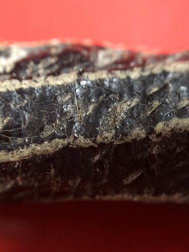 ตะกรุดหนังเสือ ลงรักเก่า ศิลป์หลวงพ่อหว่าง วัดเทียนถวาย