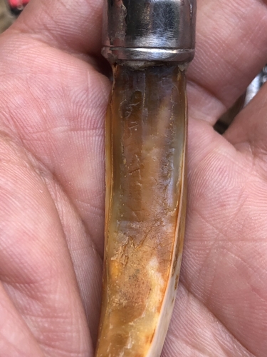 เขี้ยวหมูตัน ลงอักขระ สภาพเก่ามาก