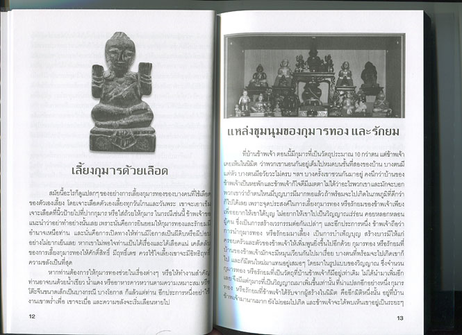 หนังสือ ปาฎิหาริย์ พุทธศาสตร์ ไสยศาสตร์ วิทยาศาสตร์ 