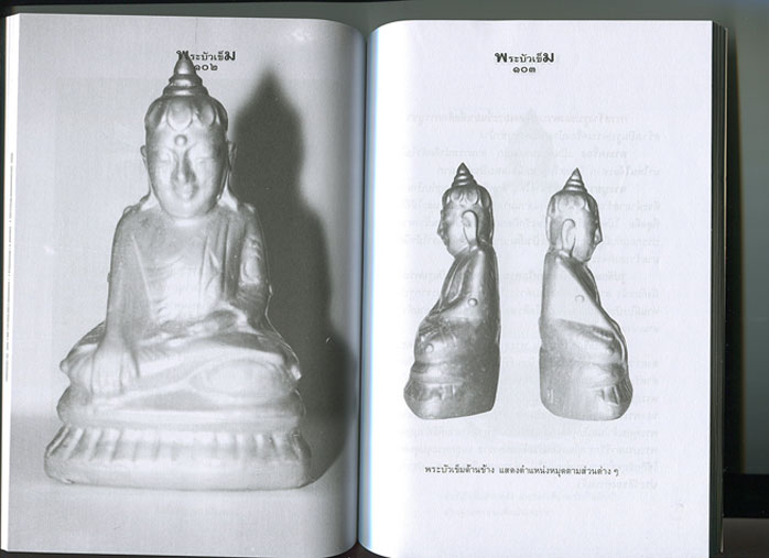 หนังสือ พระบัวเข็ม พระอรหันต์พิชิตมาร ให้ลาภร่ำรวย โดย พ.สุวรรณ 