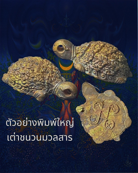 พญาเต่าเรือนพิมพ์ใหญ่ หลวงปู่มหาศิลา เมตตาอธิฐานจิต  พิธีเดี่ยวกับเหนือดวง2