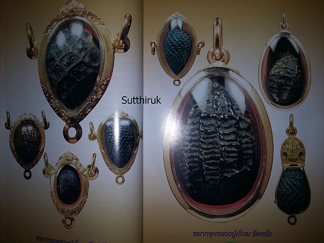 หนังสือ เบี้ยแก้ 