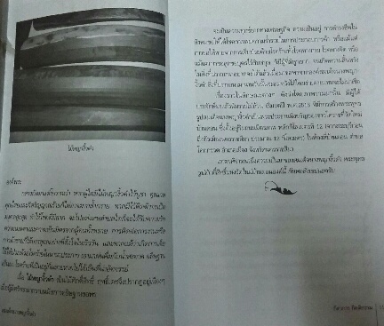 หนังสือ สมเด็จนางพญางิ้วดำ  