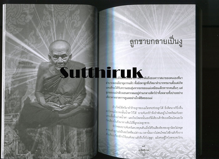 หนังสือ ประวัติ ปฎิปทา ปาฎิหาริย์ หลวงปู่ทวด วัดช้างให้ 
