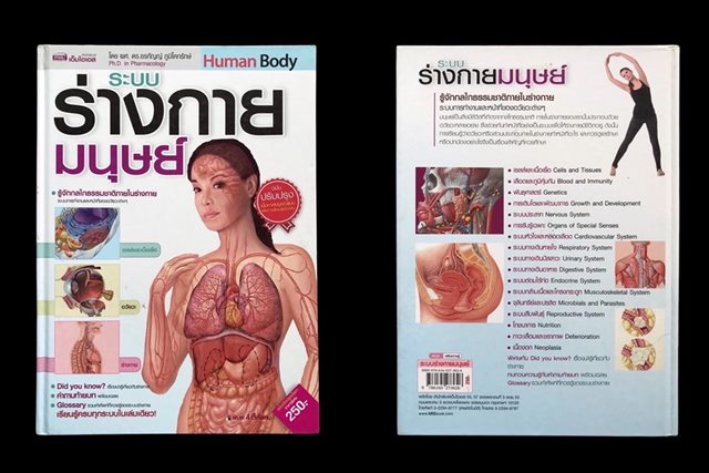 หนังสือ ร่างกายมนุษย์ เล่มใหญ่มีประโยชน์ กระดาษมัน สีสด อ่านเข้าใจง่าย