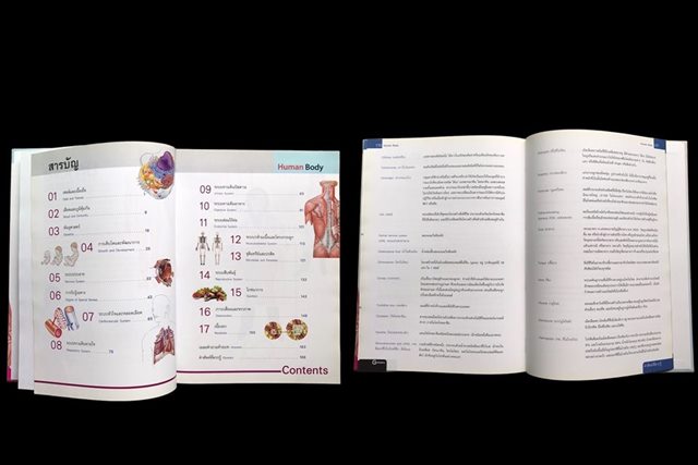 หนังสือ ร่างกายมนุษย์ เล่มใหญ่มีประโยชน์ กระดาษมัน สีสด อ่านเข้าใจง่าย