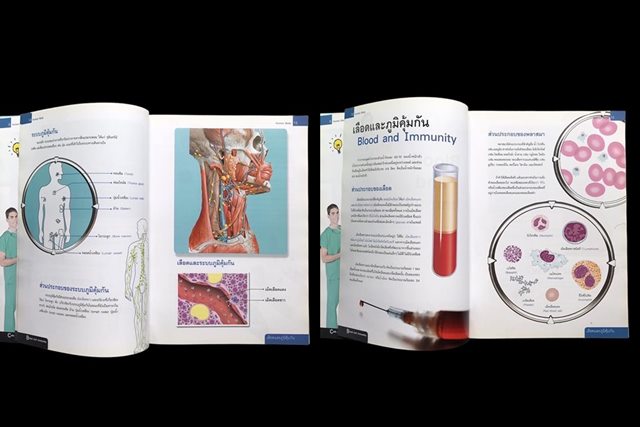 หนังสือ ร่างกายมนุษย์ เล่มใหญ่มีประโยชน์ กระดาษมัน สีสด อ่านเข้าใจง่าย