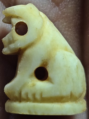 เสือกระดุกแกะ