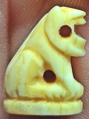 เสือกระดุกแกะ