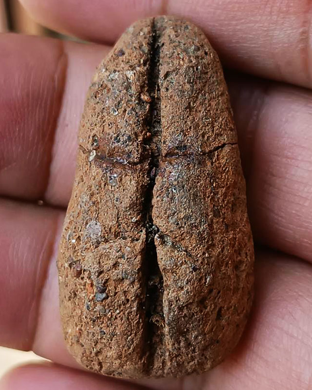 พระถ้ำเสือเนื้อติน มีซ่อม พระบ้านเก่าเก็บหลายสิบปี ไม่ทราบที่ ขนาดประมาณ 2 x 4 ซ.ม. 