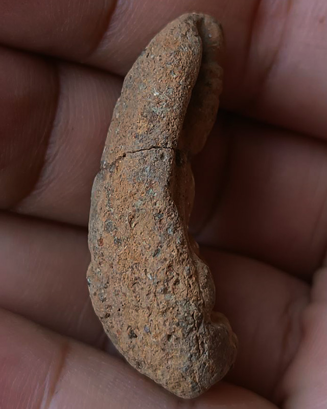 พระถ้ำเสือเนื้อติน มีซ่อม พระบ้านเก่าเก็บหลายสิบปี ไม่ทราบที่ ขนาดประมาณ 2 x 4 ซ.ม. 