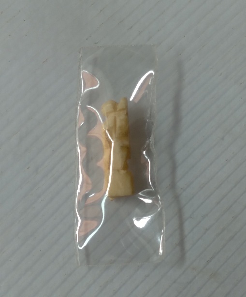 พระสิวลีกระดูกแกะหลวงพ่ออุตมะ วัดวังวิเวการาม