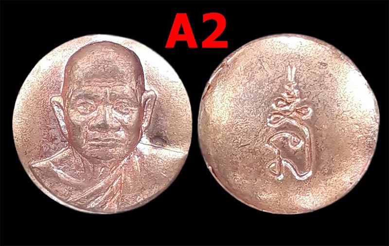 เหรียญเม็ดยา หลวงปู่ทิม วัดพระขาว จ.อยุธยา ปี2539