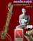 ตะกรุดโทนหลวงพ่อมุ่ย เนื้อสามกษัตริย์ ยาว 5 นิ้ว วัดดอนไร่ จ.สุพรรณบุรี พร้อมบัตรรับรองพระแท้ 
